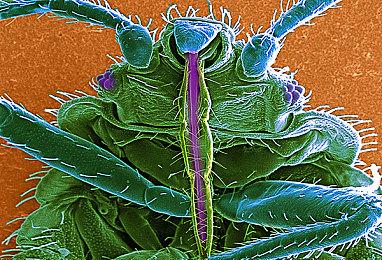 《风暴英雄》大型补丁上线正式服 全英雄平衡错误修复